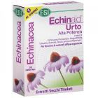 Echinaid Urto Extra Strength 30 Capsules