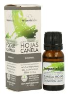 Essential Oil Cinnamon Leaves Leaves 10 ml