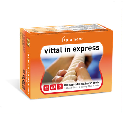 Vittal in Express 200 ml