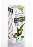 Eucalyptus Radiata essence 10Ml. Bio