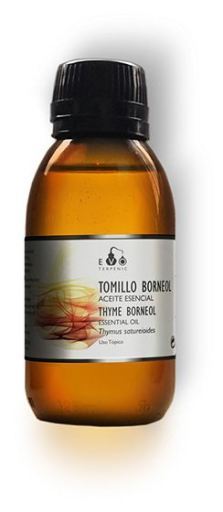 Thyme Essential Oil Borneol Bio 30 ml