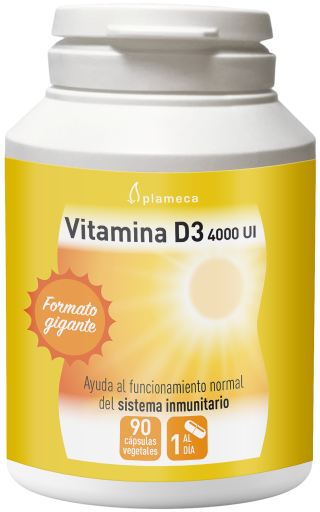 Vitamin D3 4000 IU 90 Vegetable Capsules