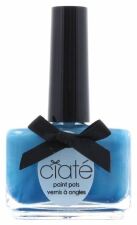 The Paint Pot Nail Polish 13.5ml