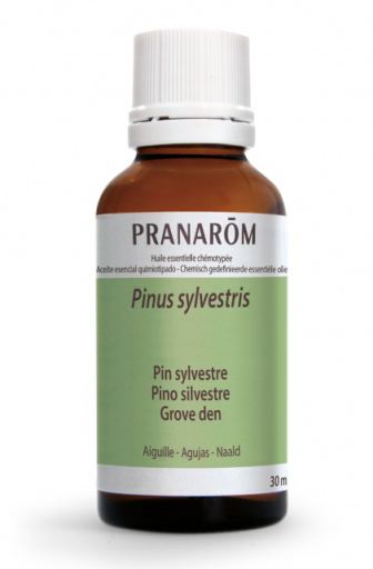 Scots Pine Essential Oil