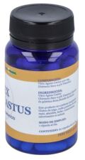 Vitex Agnus Castus 60 Capsules