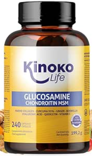 Glucosamine Chondroitin Capsule With Msm 240 Capsules